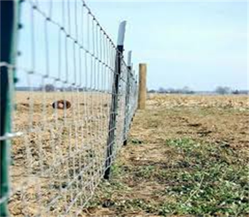 Studded T Post for Canada