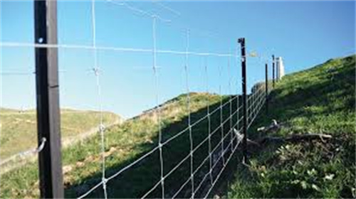 Studded T Post for landscapes