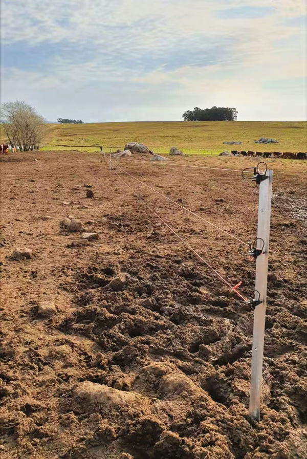 Hot dipped galvanized Y post for farm fencing