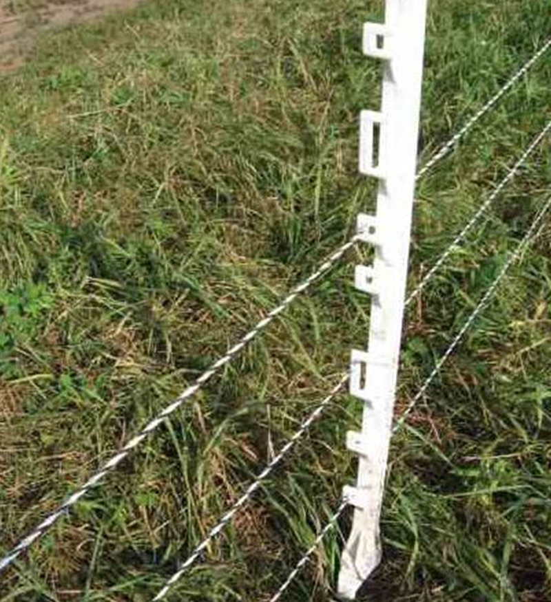 Poly Wire