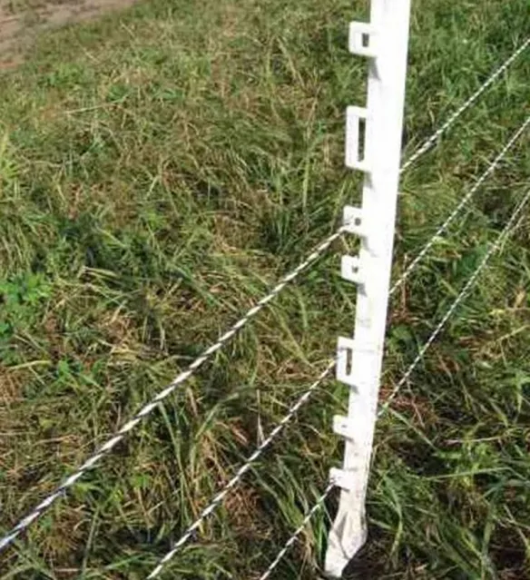 Poly Wire