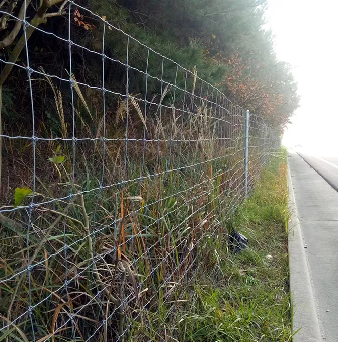 Fixed knot fence & fence post for farm fencing