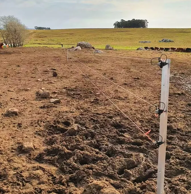 Hot dipped galvanized Y post for farm fencing